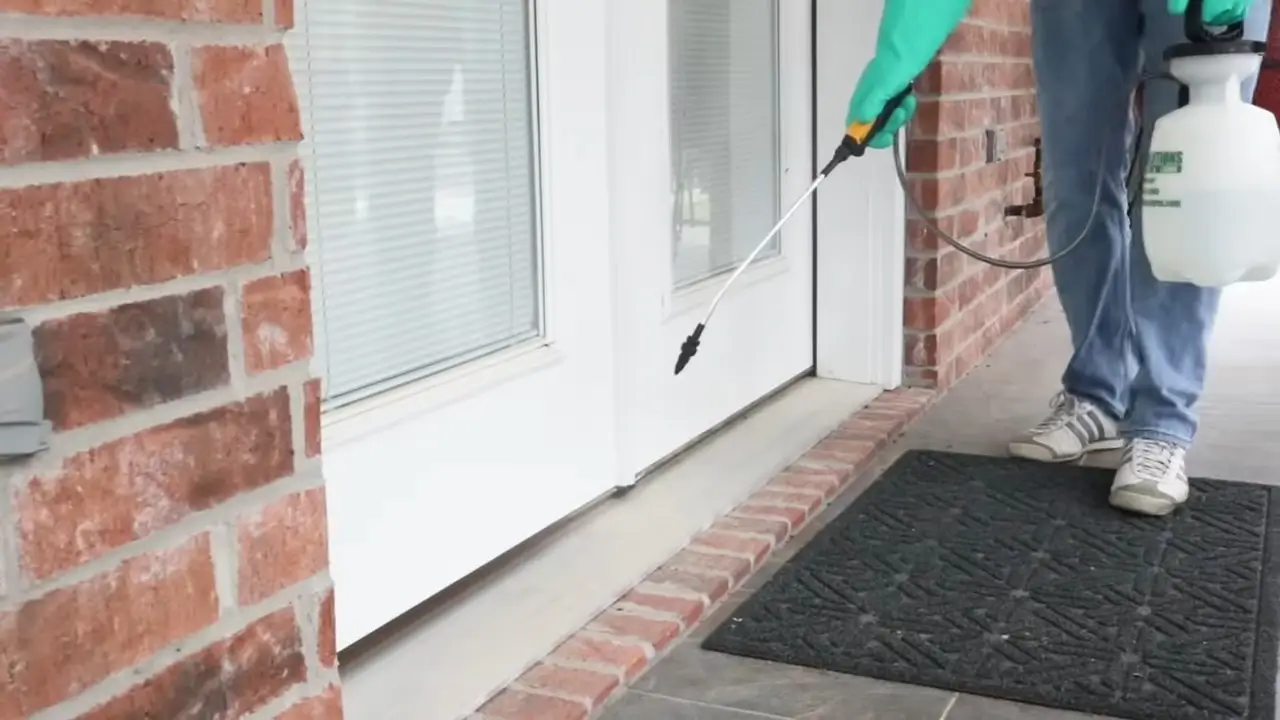 Foundation Pest Control