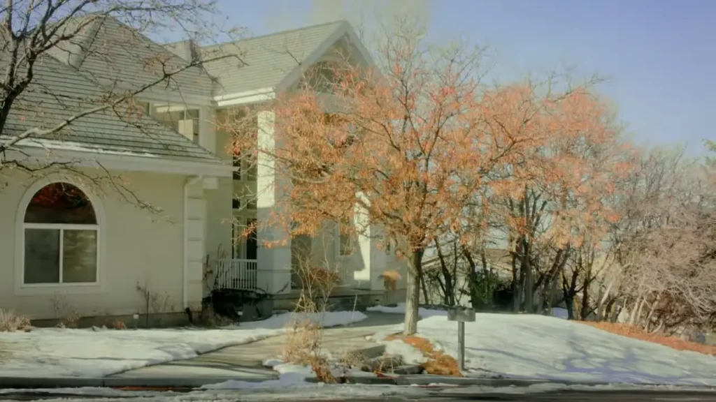 Comprehensive Snow Clearing for Every Property