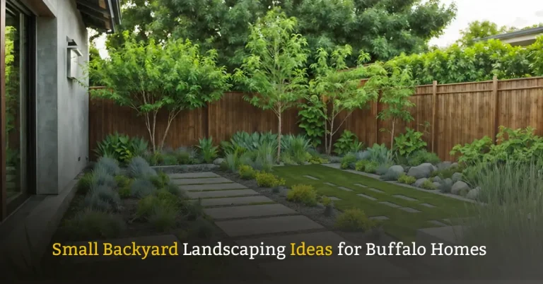 Small Backyard Landscaping Ideas for Buffalo Homes
